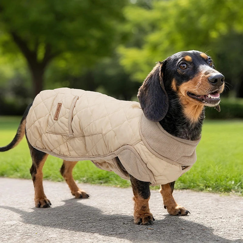 Winter Dog Coat for Dachshund Water Repellent Warm Dog Jacekt for Smaller Short-Leg Dogs Diamond Quilted Windproof Dog Clothing