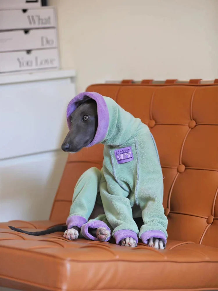Fashion Italian Greyhound Clothing Whippet Jumpsuit Dog Clothes Warm Greyhound Jammies Whippet Fleece Turtleneck Sweatshirt