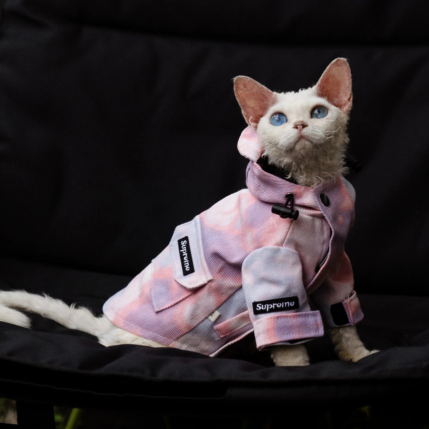 Luxury Cat Outdoor Jacket Fashion Waterproof Clothes for Sphynx Cat Thick Windproof Hoodie Coat for Devon Rex Cat Supplies
