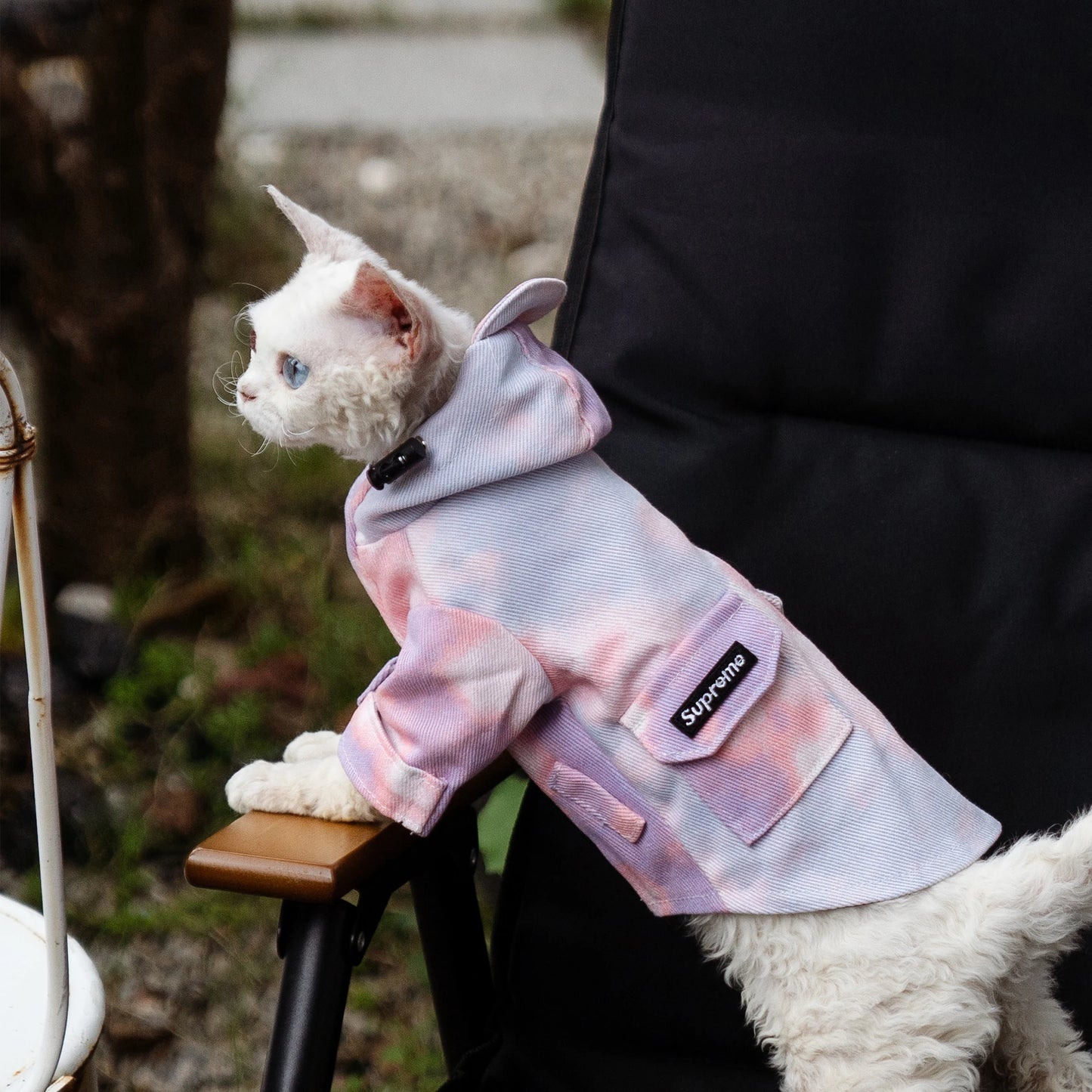 Luxury Cat Outdoor Jacket Fashion Waterproof Clothes for Sphynx Cat Thick Windproof Hoodie Coat for Devon Rex Cat Supplies