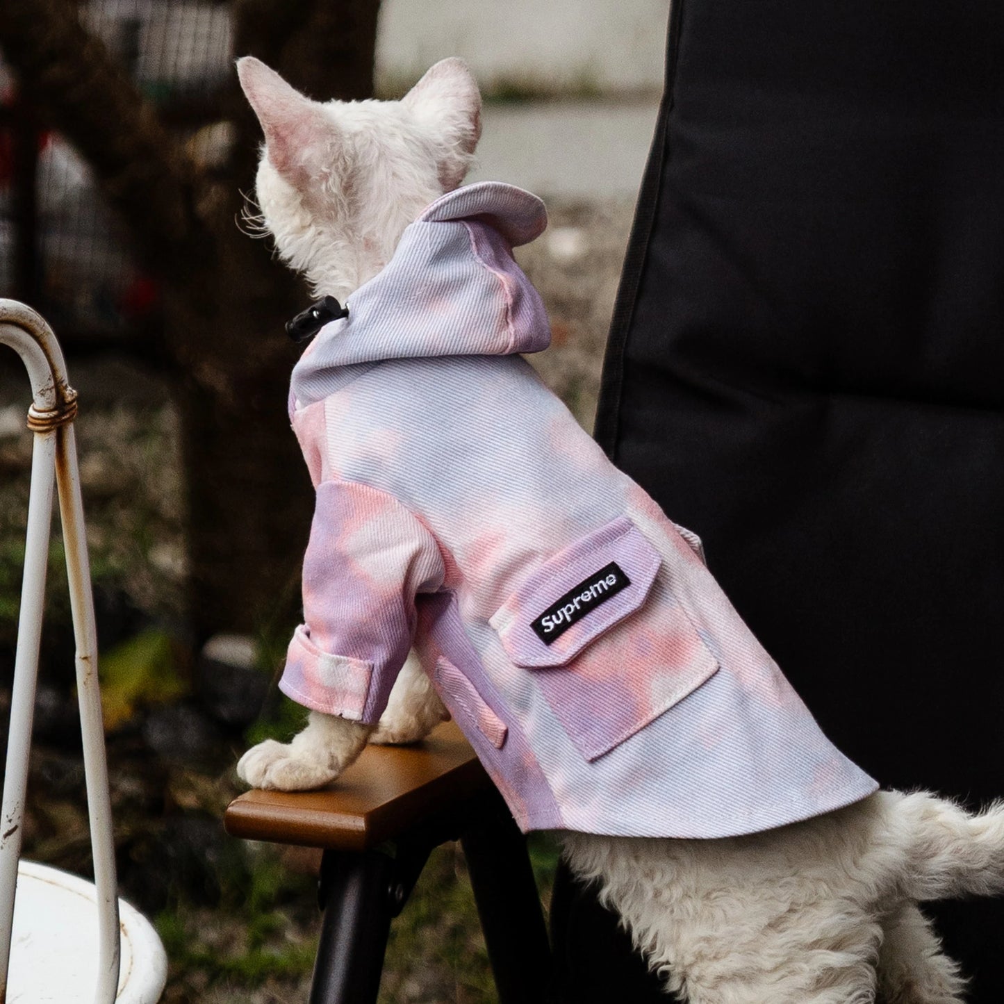 Luxury Cat Outdoor Jacket Fashion Waterproof Clothes for Sphynx Cat Thick Windproof Hoodie Coat for Devon Rex Cat Supplies