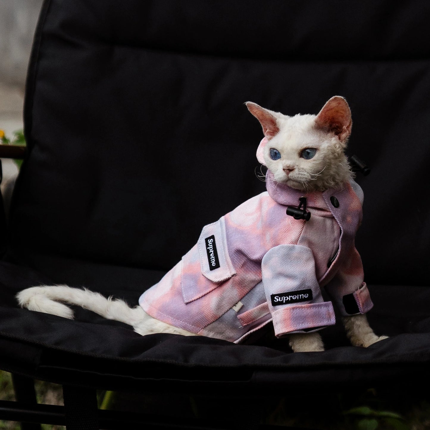 Luxury Cat Outdoor Jacket Fashion Waterproof Clothes for Sphynx Cat Thick Windproof Hoodie Coat for Devon Rex Cat Supplies